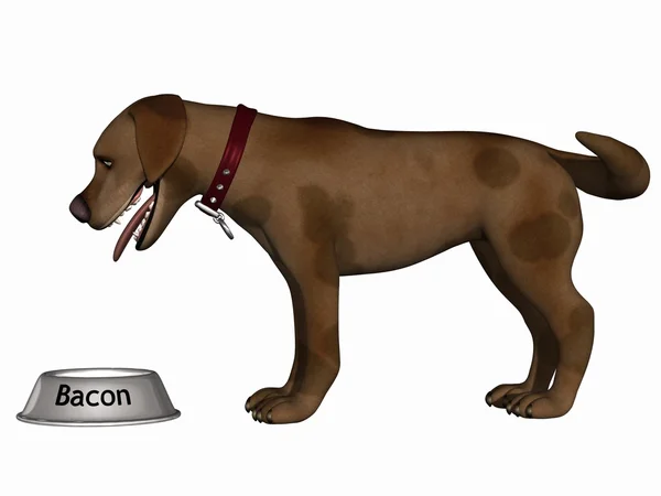 Cão de toon — Fotografia de Stock