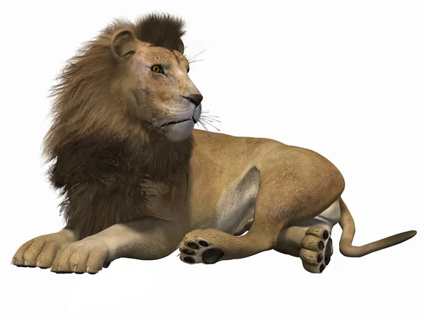 3 d のライオン — ストック写真