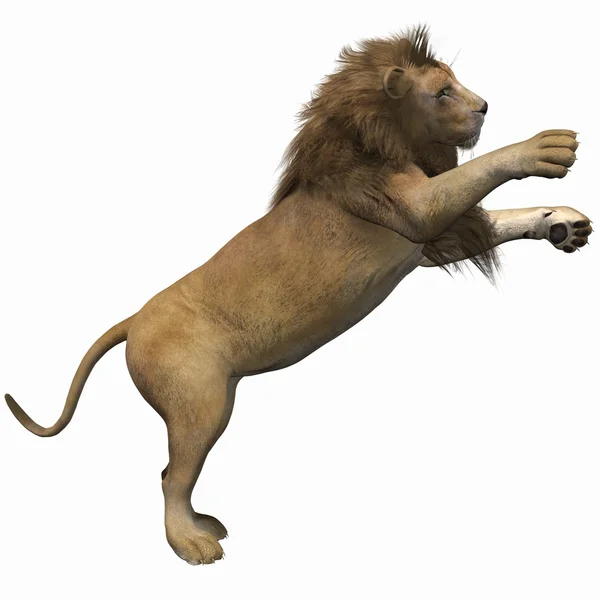 3D Lion — Stock Photo, Image