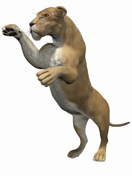 3D λιοντάρι — Φωτογραφία Αρχείου