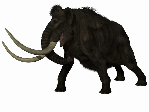 Mammoth — Stock Photo, Image