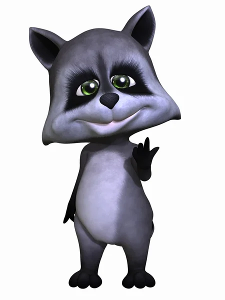 Cute Pet - Raccoon — Stock Photo, Image