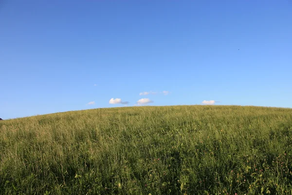 stock image Summer in Austria