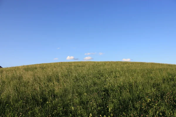 stock image Summer in Austria