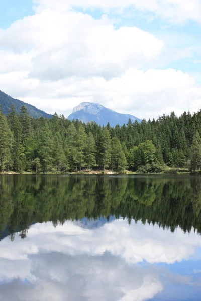 stock image Summer in Austria