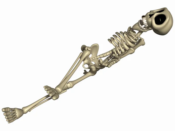 Toon skelet — Stock fotografie