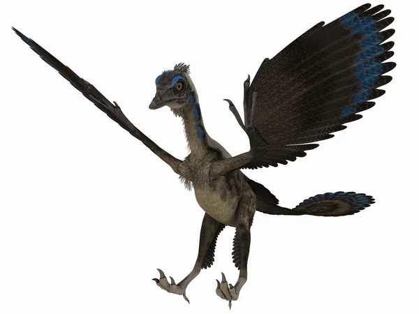 3 d の恐竜 - 始祖鳥 — ストック写真