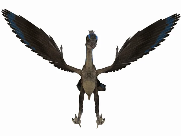 Archaeopteryx - 3d dinoszaurusz — Stock Fotó