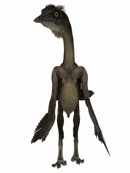 Archaeopteryx - 3d dinoszaurusz — Stock Fotó