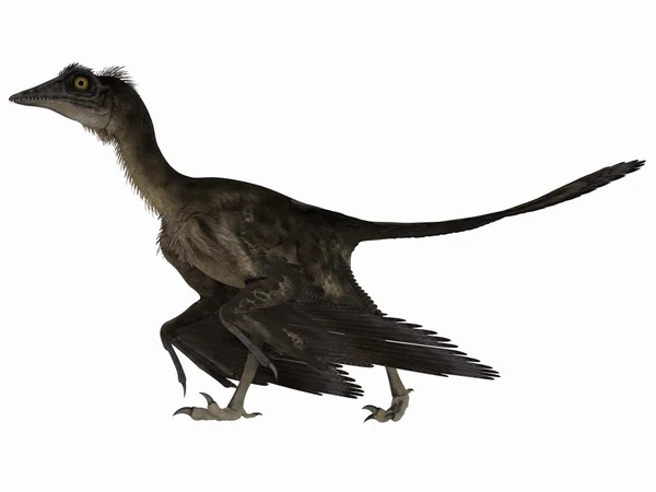 Archaeopteryx - Dinosaurio 3D — Foto de Stock