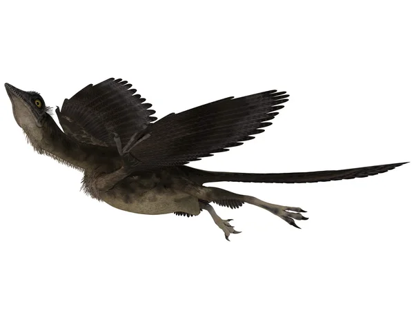 Archaeopteryx - 3d dinosaurie — Stockfoto