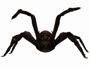 Fantasy Spider clipart