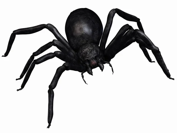 Fantezi örümcek — Stok fotoğraf