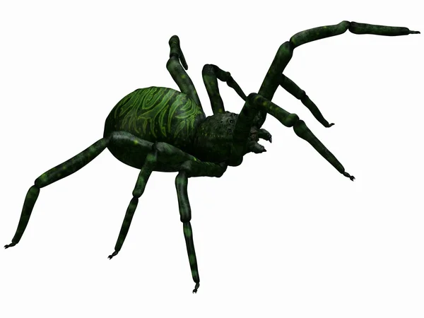 Fantasy Spider — Stock Photo, Image