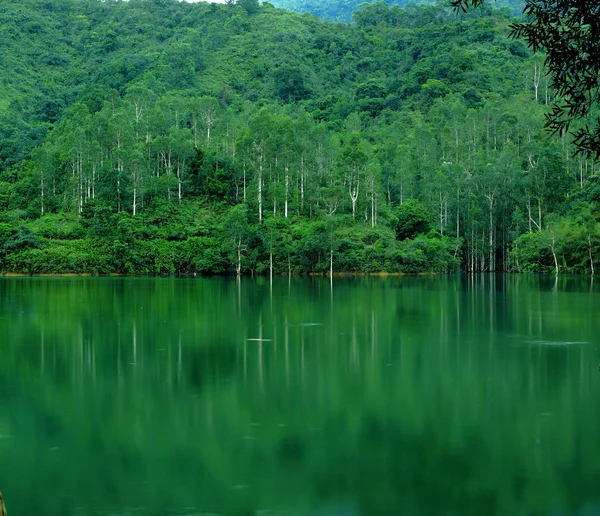 Озеро з дерева — стокове фото