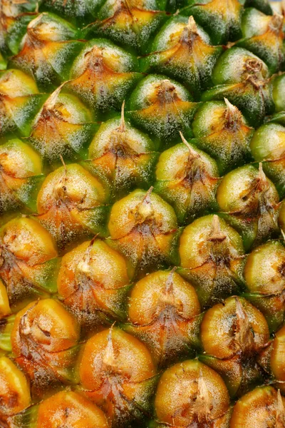 Pinheiro de ananás — Fotografia de Stock