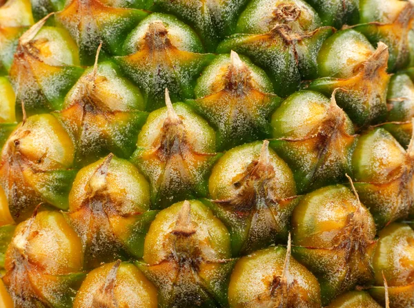 Pino ananas — Foto Stock