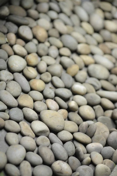 Ronde peeble stenen — Stockfoto
