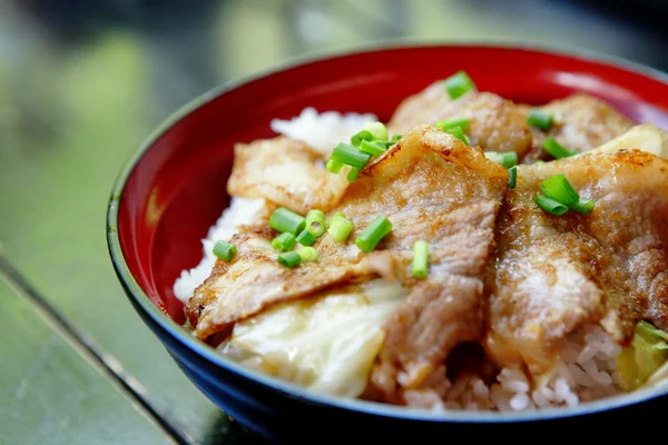 Pork with rice — Stock Photo, Image
