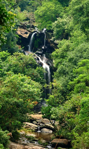 stock image Waterfall in forest