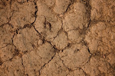 Dry cracked earth clipart