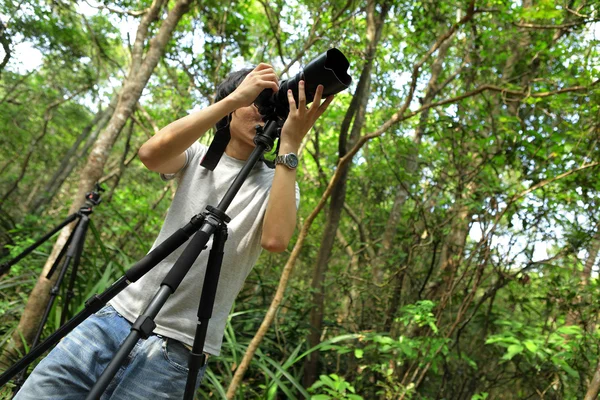 Fotógrafo na floresta — Fotografia de Stock