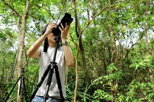 Photographer in forest — Stock Photo, Image