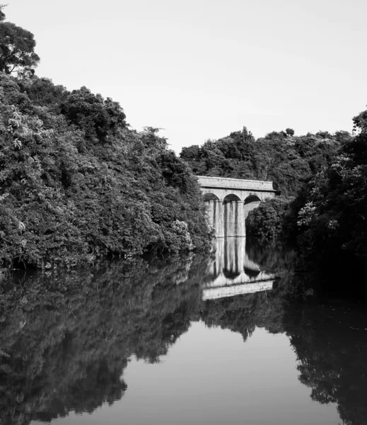 stock image Lake with stone bridge, black and white