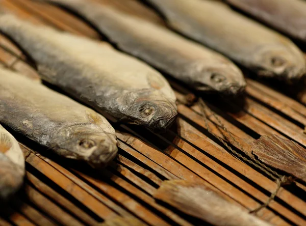 Dried salt fish — Stock Photo, Image