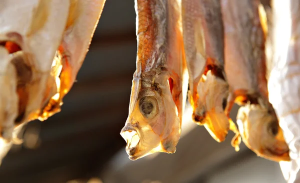 Αποξηραμένα ψάρια — Φωτογραφία Αρχείου