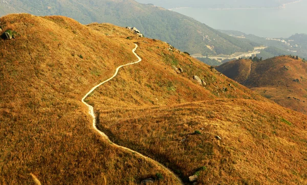 Calea Muntelui — Fotografie, imagine de stoc