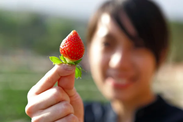 Mädchen Pflücken Erdbeere — Stockfoto