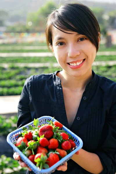 Mädchen pflücken Erdbeere — Stockfoto