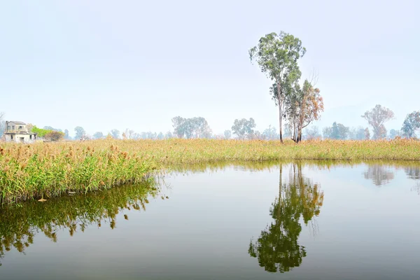 Водно-болотних угідь — стокове фото