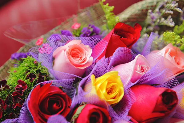 Colourful Rose — Stock Photo, Image