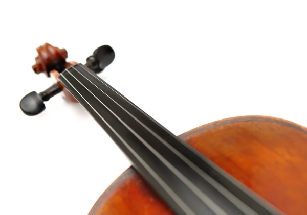 ヴァイオリンの頭 — ストック写真