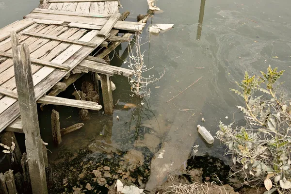 川の水質汚染 — ストック写真