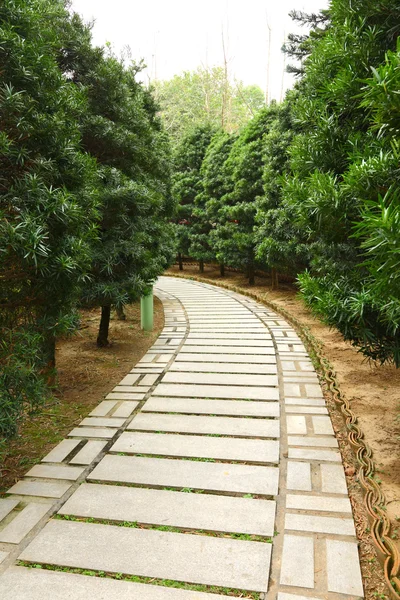 Path in garden — Stock Photo, Image
