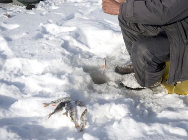 Subglacial kışın Nehirde balık tutma