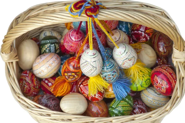 Chalinolobus Mand Met Multi Gekleurde Pasen Eieren Witte — Stockfoto