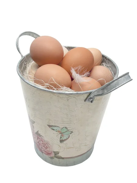Eggs in a bucket — Stock Photo, Image
