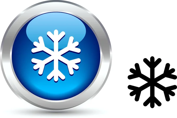 Snowflake button. — Stock Vector
