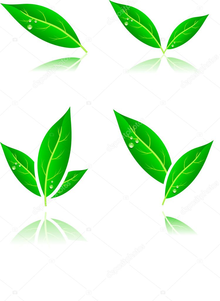 Leaf icons.