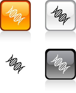 DNA düğmesi.