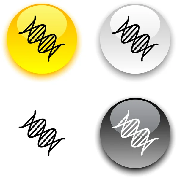 Κουμπί DNA. — Διανυσματικό Αρχείο
