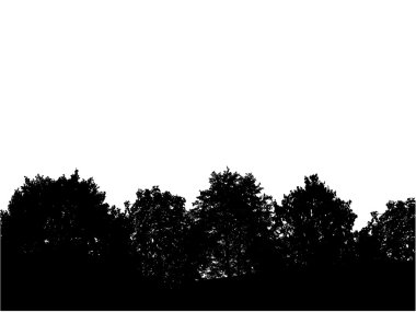 Forest. [Vector]. clipart