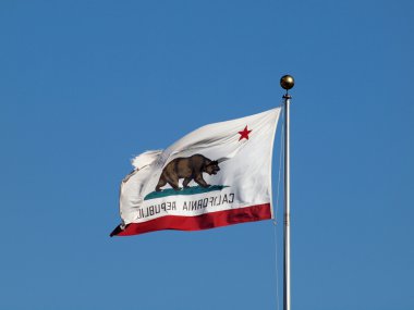 güçlü geri vitese uçan yıpranmış Kaliforniya Cumhuriyeti Devlet bayrağı