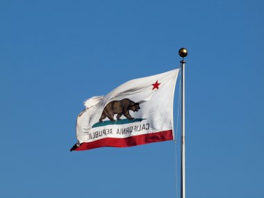 Worn California Republic State flag flying in reverse in strong clipart