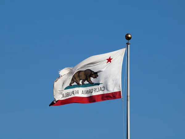 Die Flagge des kalifornischen Republikstaates weht bei starkem Wind rückwärts — Stockfoto