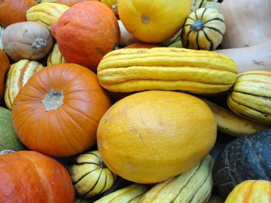 Close up of small multi- unky colored organic pumpkins, squash, and grods at a farmers market in San Francisco. clipart